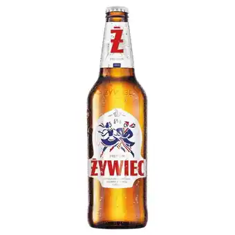 Globi Żywiec piwo jasne 500 ml oferta