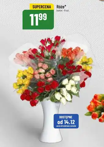 Polomarket Róże 9 szt. oferta