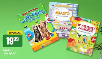 Polomarket Książka oferta