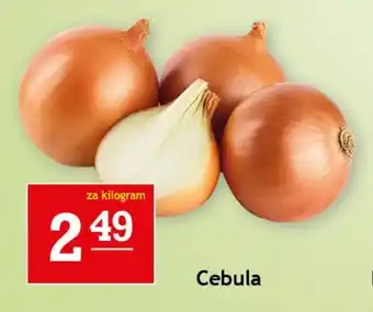 Gram Market Cebula 1 kg oferta