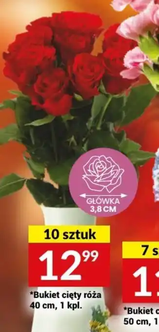 Twój Market Bukiet cięty goździk 50 cm, 1 kpl. oferta