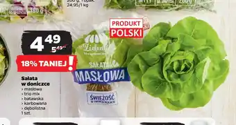 Netto Sałata w doniczce oferta
