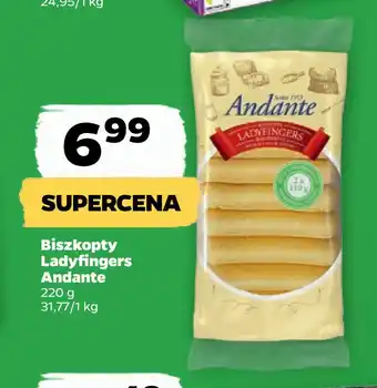 Netto Biszkopty ladyfingers andante oferta