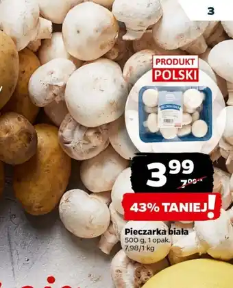 Netto Pieczarka biała 500 g oferta