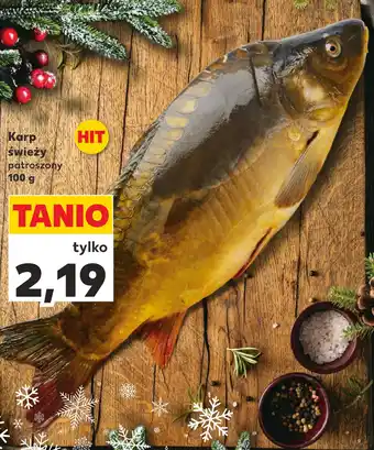 Kaufland Karp świeży patroszony 100 g oferta