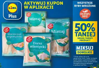 Lidl WSZYSTKIE RYBY MROŻONE ocean sea oferta