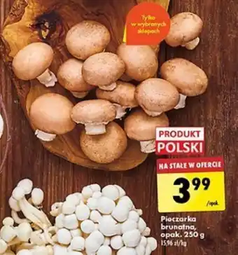 Biedronka Pieczarka brunatna, 250 g oferta