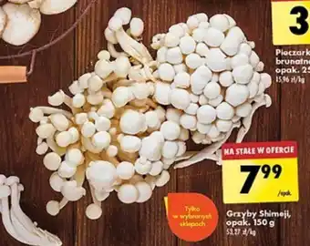 Biedronka Grzyby Shimeji 150 g oferta