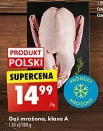 Biedronka Gęś mrożona, klasa A 1 kg oferta