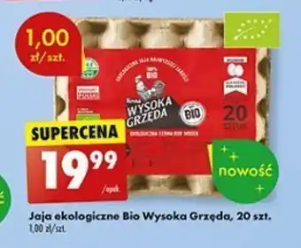 Biedronka Jaja ekologiczne Bio Wysoka Grzęda, 20 szt. oferta