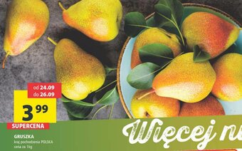 Arhelan Gruszka 1kg oferta
