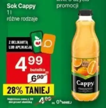 Sok Cappy 1l