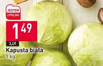 Stokrotka Kapusta biała oferta