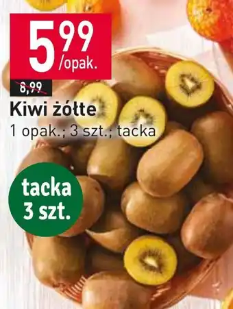 Stokrotka Kiwi oferta
