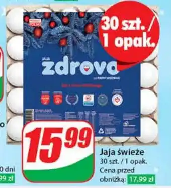 Dino Jaja zdrovo oferta