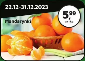 Odido Mandarynki 1kg oferta