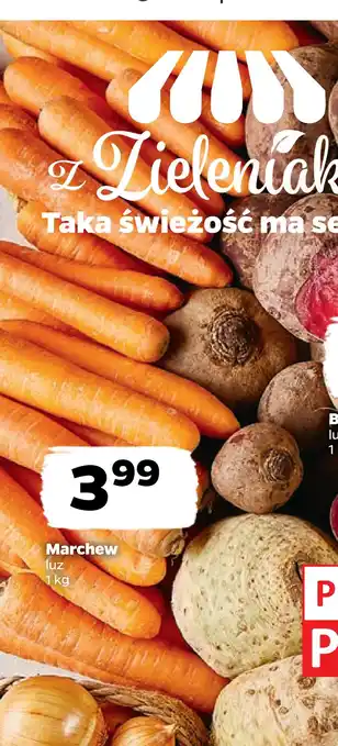 Netto Marchew oferta