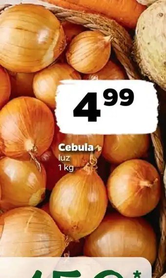 Netto Cebula 1 kg oferta