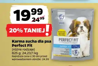 Netto Karma sucha dla psa perfect fit oferta