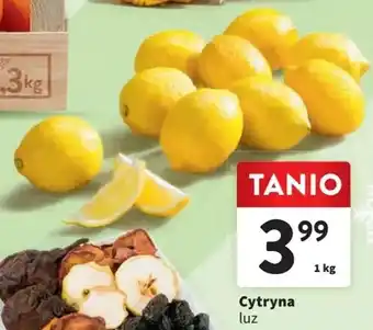 Intermarche Cytryna 1kg oferta