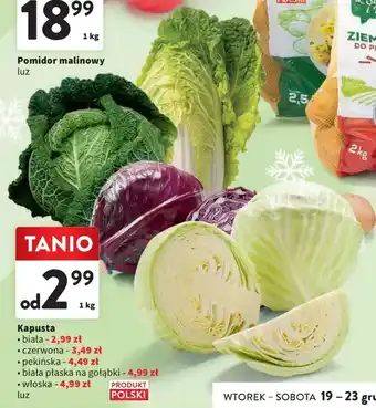 Intermarche Kapusta biała 1kg oferta