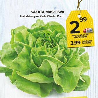 Topaz Sałata masłowa 1szt. oferta