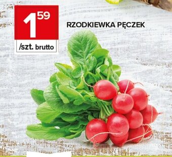 Topaz Rzodkiewka pęczek oferta