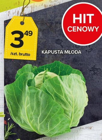 Topaz Kapusta młoda 1szt. oferta