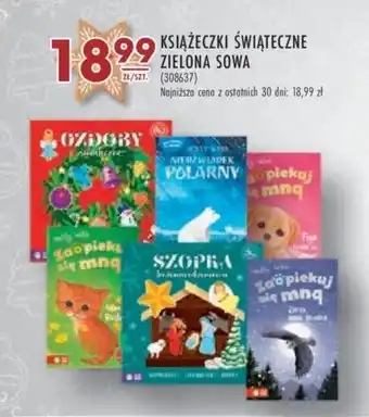 Stokrotka KSIĄŻECZKI ŚWIĄTECZNE ZIELONA SOWA oferta