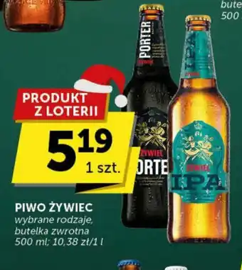 Groszek PIWO ŻYWIEC 500 ml oferta