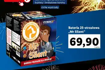 Lidl Bateria 25-strzałowa ,,Mr Silent" oferta