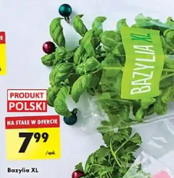 Biedronka Bazylia XL oferta