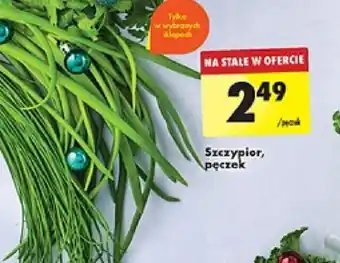 Biedronka Szczypior, pęczek oferta