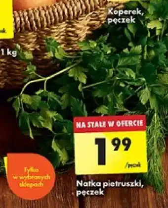 Biedronka Natka pietruszki, pęczek oferta