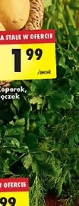 Biedronka Koperek, pęczek oferta