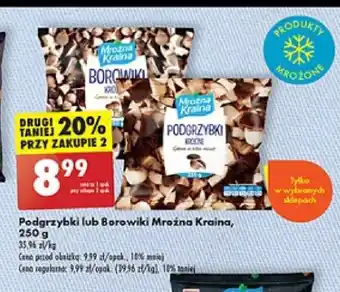 Biedronka Podgrzybki lub Borowiki Mroźna Kraina 250g oferta