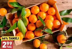 ALDI Mandarynki oferta