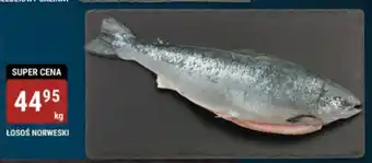 bi1 ŁOSOS NORWESKI 1kg oferta