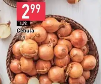 Stokrotka Cebula 1 kg oferta