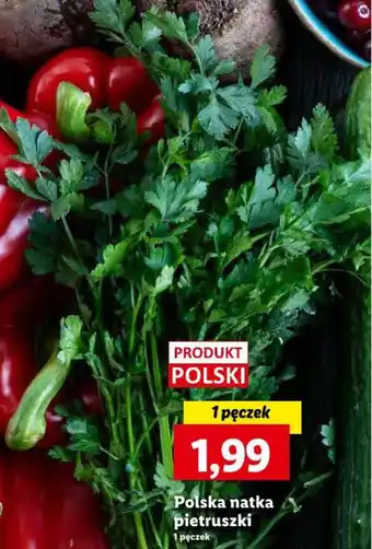 Lidl Polska natka pietruszki 1 pęczek oferta