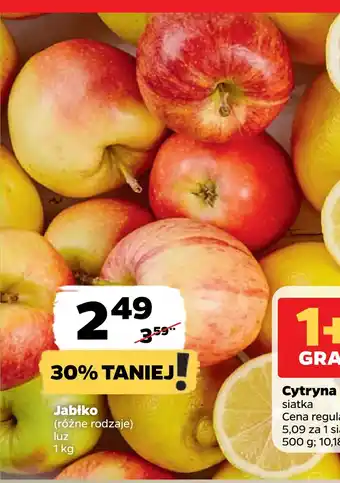 Netto Jabłko oferta