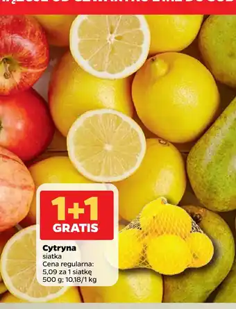 Netto Cytryna oferta