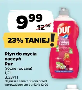 Netto Płyn do mycia naczyń pur oferta