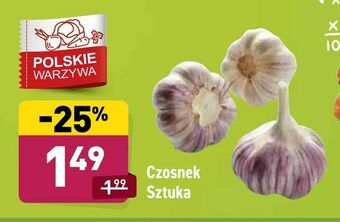 ALDI Czosnek Sztuka oferta