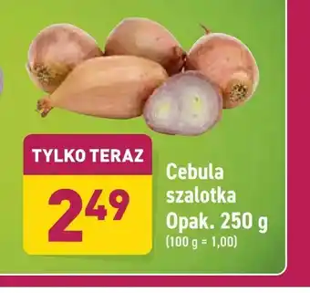 ALDI Cebula szalotka oferta