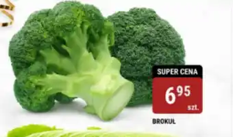 bi1 BROKUL oferta