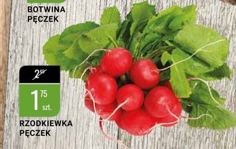 bi1 Rzodkiewka pęczek oferta