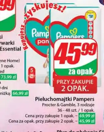 Dino Pieluchomajtki Pampers oferta