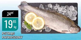 bi1 Pstrąg patroszony 1kg oferta