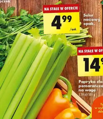 Biedronka Seler naciowy, opak. oferta